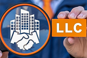 Limited Liability Company