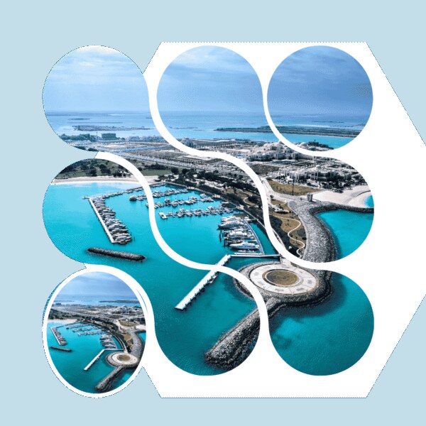 pro services in abu dhabi