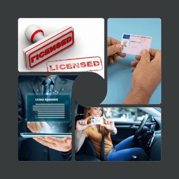 Trade License Services in dubai