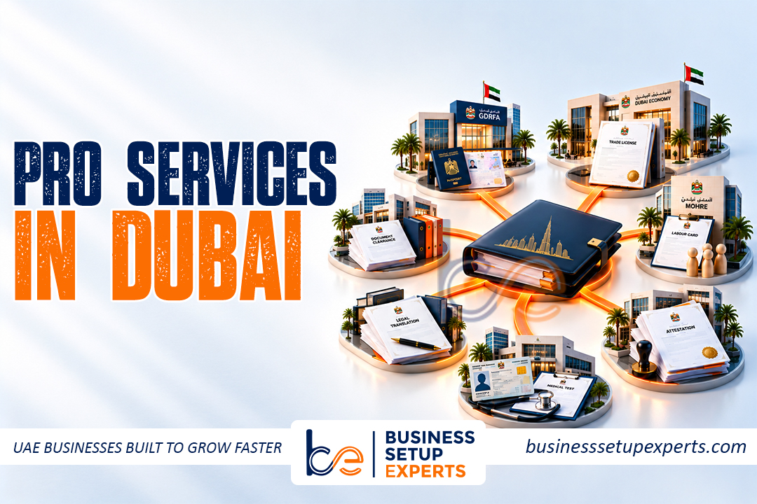 Pro Services in Dubai